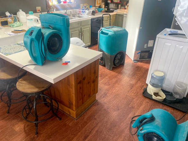 Best Ceiling water damage repair  in Roseville, MI