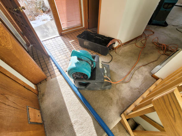 Best Water damage restoration near me  in Roseville, MI