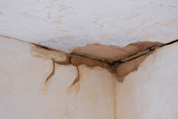 Best 24-hour water damage restoration  in Roseville, MI