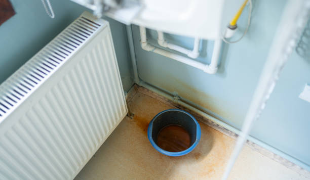 Best Flood restoration services  in Roseville, MI