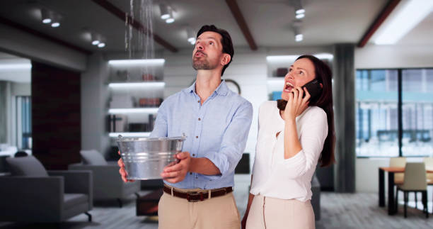 Best Local water damage restoration  in Roseville, MI